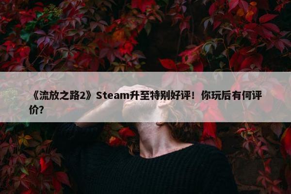 《流放之路2》Steam升至特别好评！你玩后有何评价？