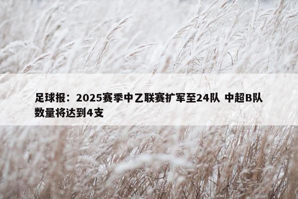 足球报：2025赛季中乙联赛扩军至24队 中超B队数量将达到4支