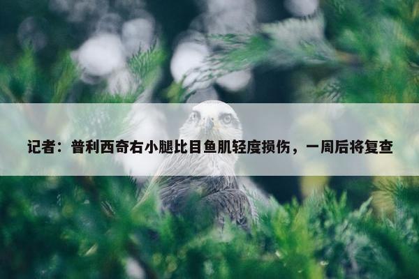 记者：普利西奇右小腿比目鱼肌轻度损伤，一周后将复查