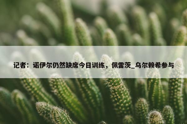 记者：诺伊尔仍然缺席今日训练，佩雷茨_乌尔赖希参与