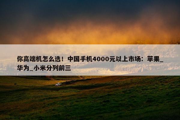 你高端机怎么选！中国手机4000元以上市场：苹果_华为_小米分列前三