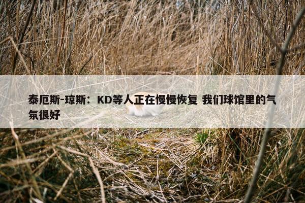 泰厄斯-琼斯：KD等人正在慢慢恢复 我们球馆里的气氛很好