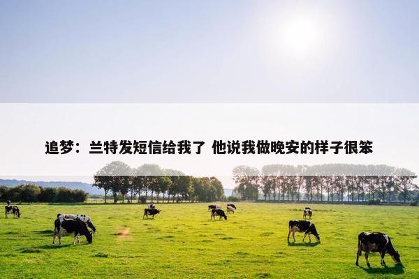 追梦：兰特发短信给我了 他说我做晚安的样子很笨