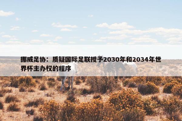 挪威足协：质疑国际足联授予2030年和2034年世界杯主办权的程序