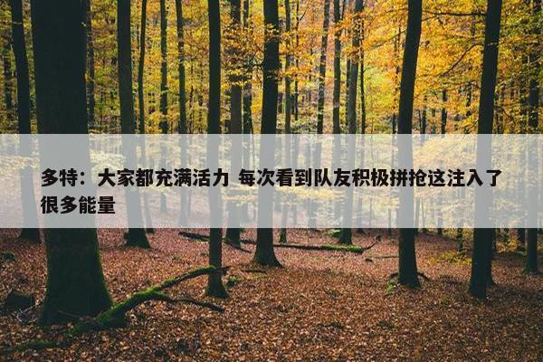 多特：大家都充满活力 每次看到队友积极拼抢这注入了很多能量