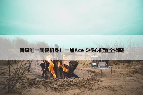 同级唯一陶瓷机身！一加Ace 5核心配置全揭晓