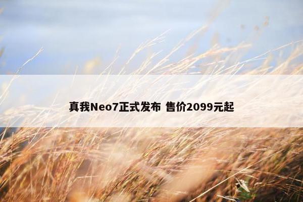 真我Neo7正式发布 售价2099元起