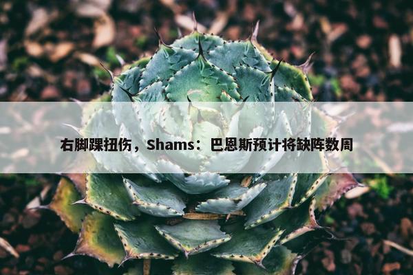 右脚踝扭伤，Shams：巴恩斯预计将缺阵数周