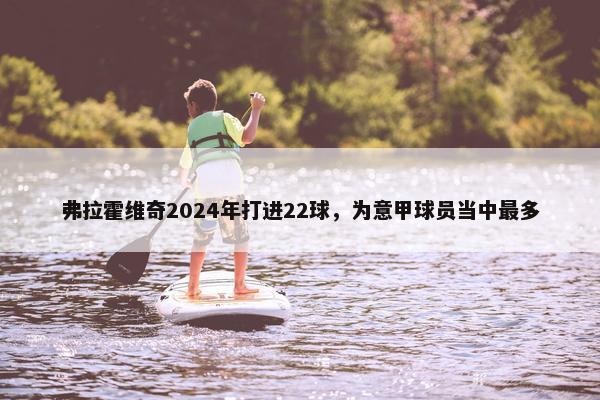 弗拉霍维奇2024年打进22球，为意甲球员当中最多