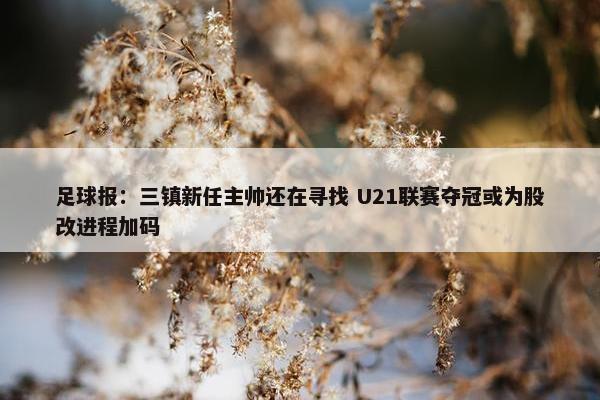 足球报：三镇新任主帅还在寻找 U21联赛夺冠或为股改进程加码