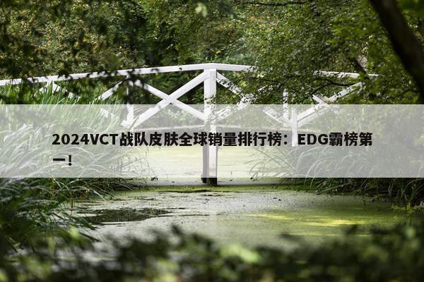 2024VCT战队皮肤全球销量排行榜：EDG霸榜第一！