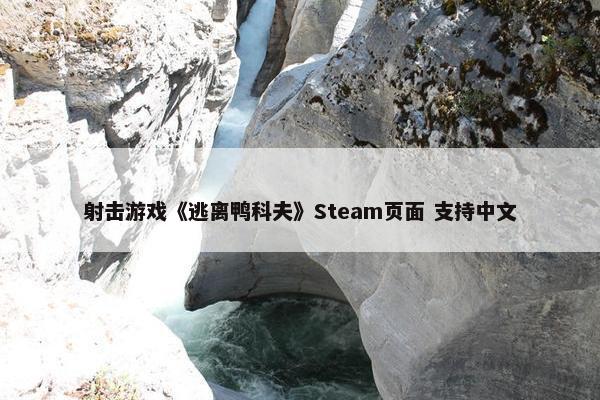 射击游戏《逃离鸭科夫》Steam页面 支持中文