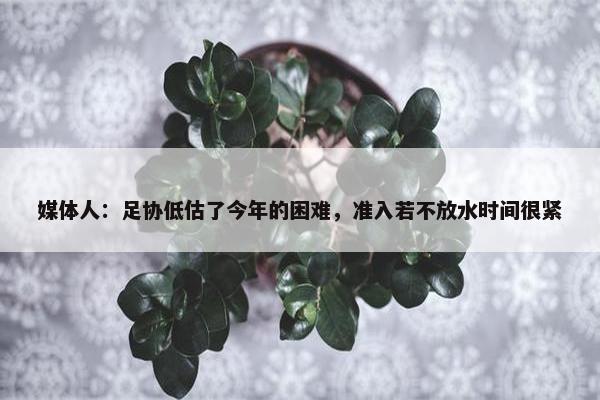 媒体人：足协低估了今年的困难，准入若不放水时间很紧