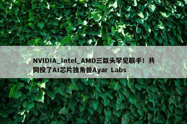 NVIDIA_Intel_AMD三巨头罕见联手！共同投了AI芯片独角兽Ayar Labs