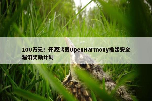 100万元！开源鸿蒙OpenHarmony推出安全漏洞奖励计划