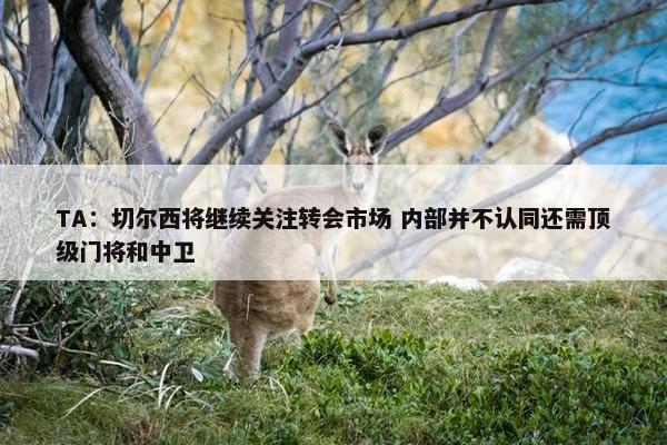 TA：切尔西将继续关注转会市场 内部并不认同还需顶级门将和中卫