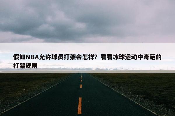 假如NBA允许球员打架会怎样？看看冰球运动中奇葩的打架规则