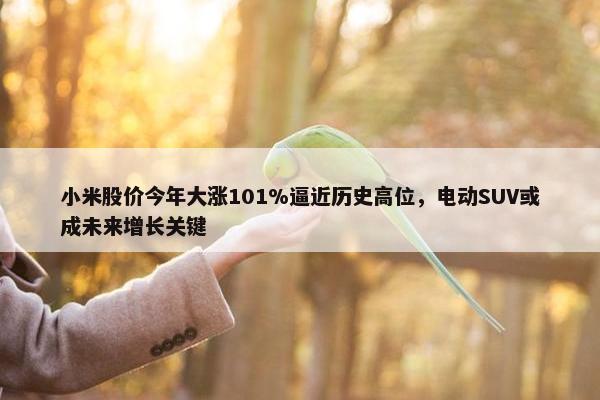 小米股价今年大涨101%逼近历史高位，电动SUV或成未来增长关键