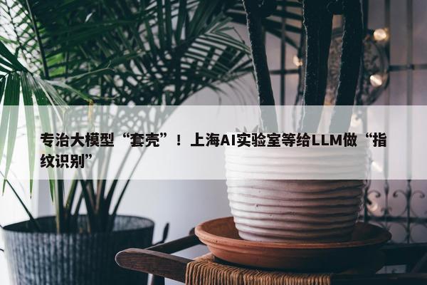 专治大模型“套壳”！上海AI实验室等给LLM做“指纹识别”