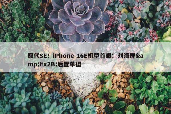 取代SE！iPhone 16E机型首曝：刘海屏&#x2B;后置单摄