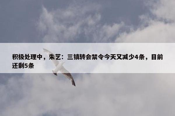 积极处理中，朱艺：三镇转会禁令今天又减少4条，目前还剩5条