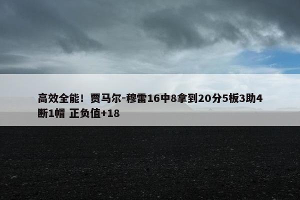 高效全能！贾马尔-穆雷16中8拿到20分5板3助4断1帽 正负值+18