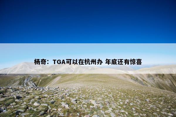 杨奇：TGA可以在杭州办 年底还有惊喜