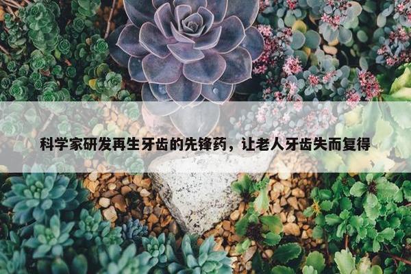 科学家研发再生牙齿的先锋药，让老人牙齿失而复得