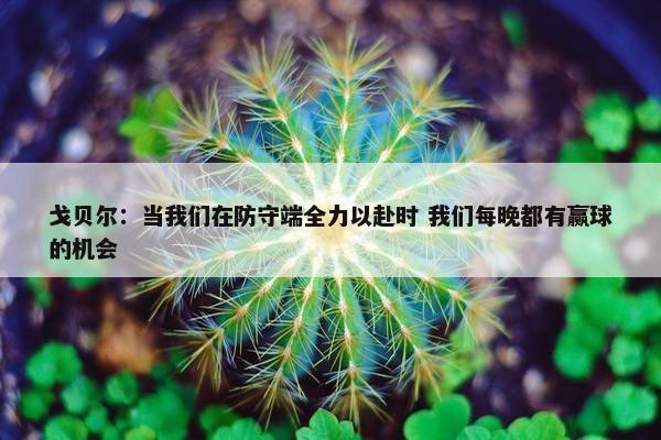 戈贝尔：当我们在防守端全力以赴时 我们每晚都有赢球的机会