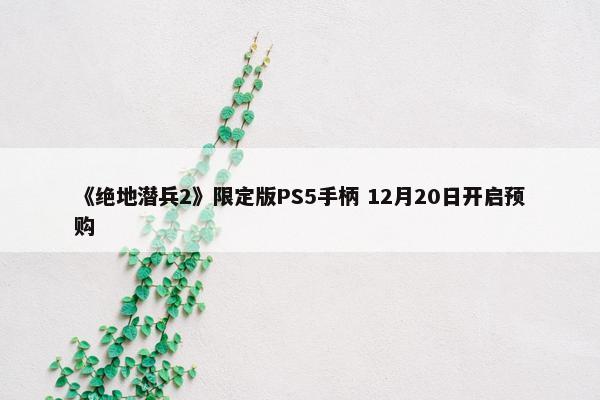 《绝地潜兵2》限定版PS5手柄 12月20日开启预购