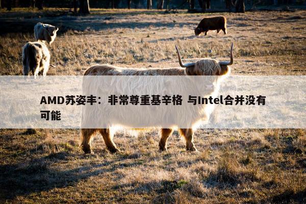 AMD苏姿丰：非常尊重基辛格 与Intel合并没有可能