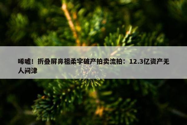 唏嘘！折叠屏鼻祖柔宇破产拍卖流拍：12.3亿资产无人问津