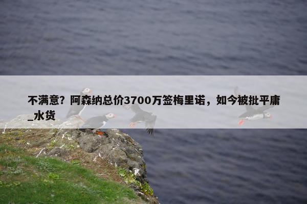 不满意？阿森纳总价3700万签梅里诺，如今被批平庸_水货