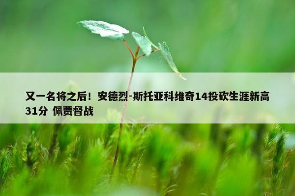 又一名将之后！安德烈-斯托亚科维奇14投砍生涯新高31分 佩贾督战