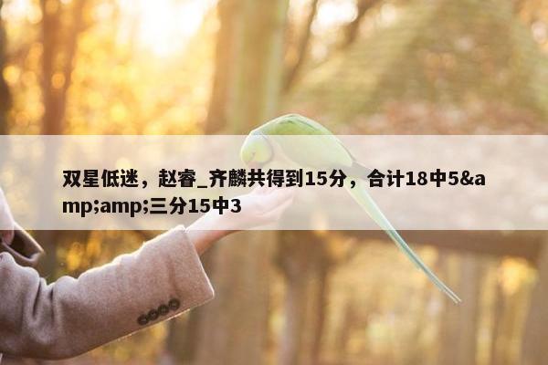 双星低迷，赵睿_齐麟共得到15分，合计18中5&amp;三分15中3