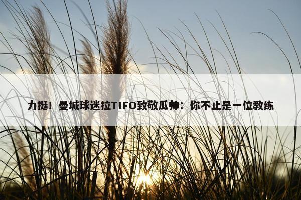 力挺！曼城球迷拉TIFO致敬瓜帅：你不止是一位教练