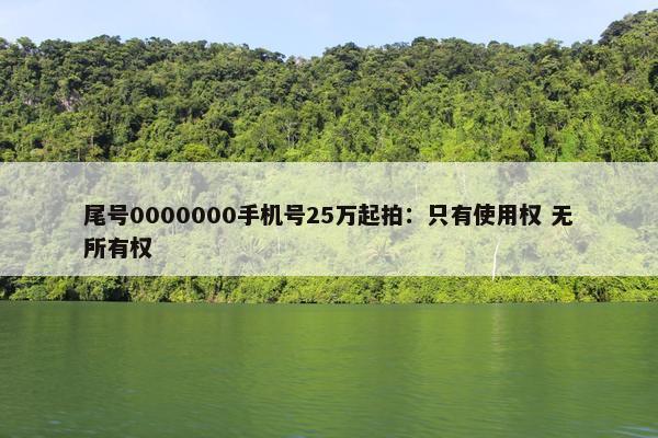 尾号0000000手机号25万起拍：只有使用权 无所有权