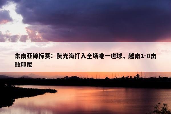 东南亚锦标赛：阮光海打入全场唯一进球，越南1-0击败印尼