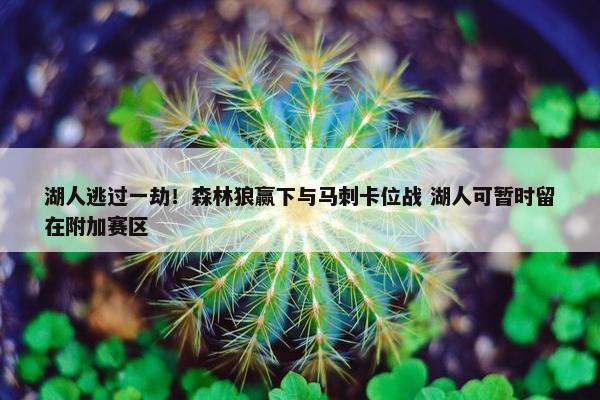 湖人逃过一劫！森林狼赢下与马刺卡位战 湖人可暂时留在附加赛区