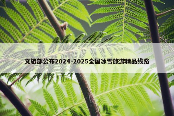 文旅部公布2024-2025全国冰雪旅游精品线路