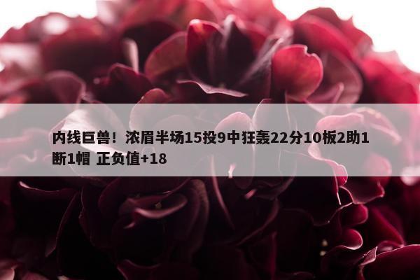 内线巨兽！浓眉半场15投9中狂轰22分10板2助1断1帽 正负值+18