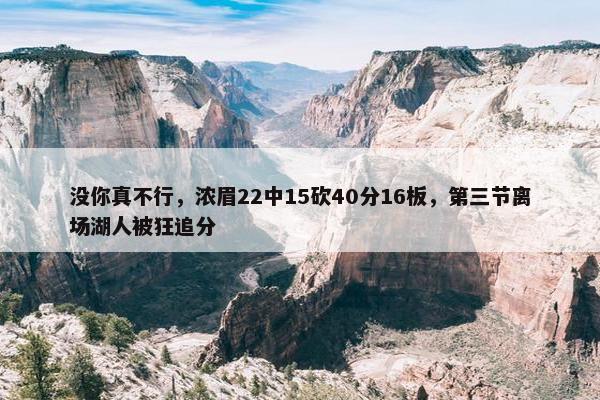 没你真不行，浓眉22中15砍40分16板，第三节离场湖人被狂追分