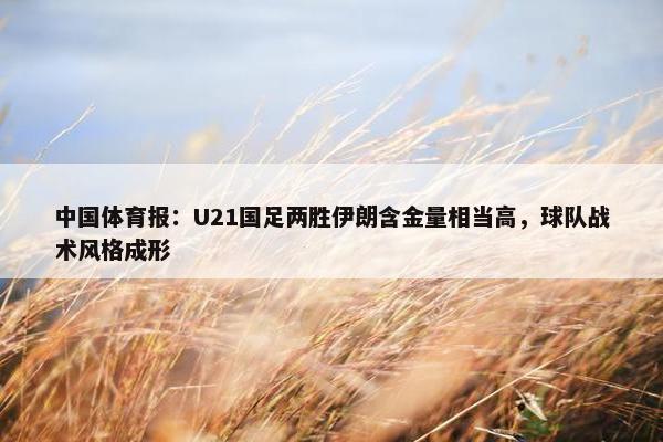 中国体育报：U21国足两胜伊朗含金量相当高，球队战术风格成形