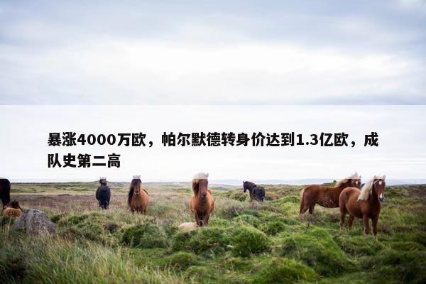 暴涨4000万欧，帕尔默德转身价达到1.3亿欧，成队史第二高