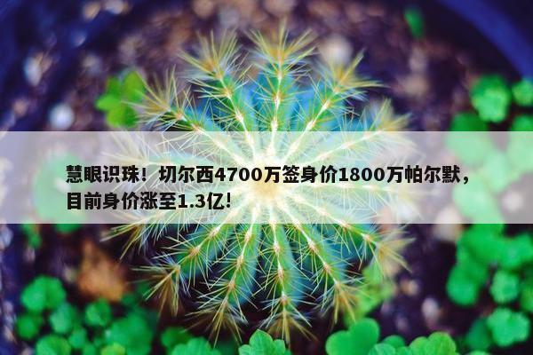 慧眼识珠！切尔西4700万签身价1800万帕尔默，目前身价涨至1.3亿!