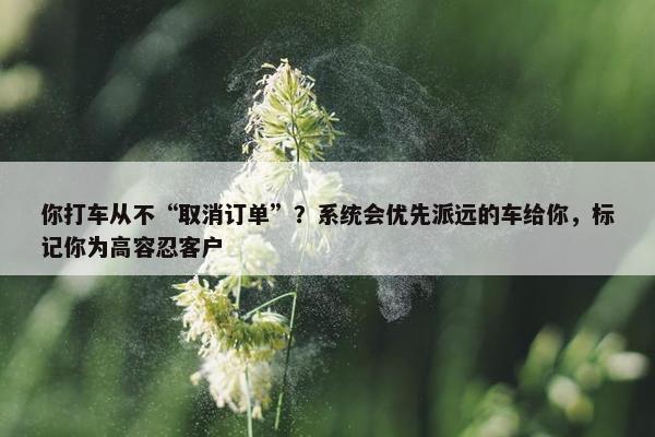 你打车从不“取消订单”？系统会优先派远的车给你，标记你为高容忍客户