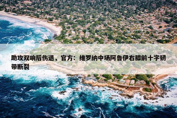 助攻双响后伤退，官方：维罗纳中场阿鲁伊右膝前十字韧带断裂