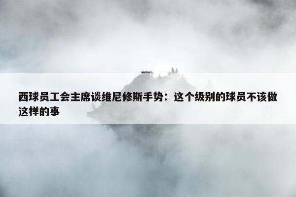 西球员工会主席谈维尼修斯手势：这个级别的球员不该做这样的事