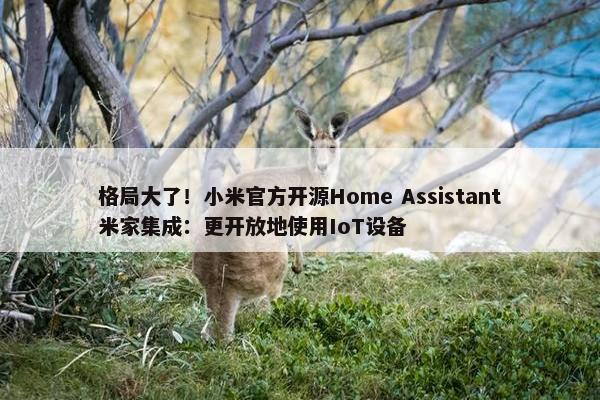 格局大了！小米官方开源Home Assistant米家集成：更开放地使用IoT设备