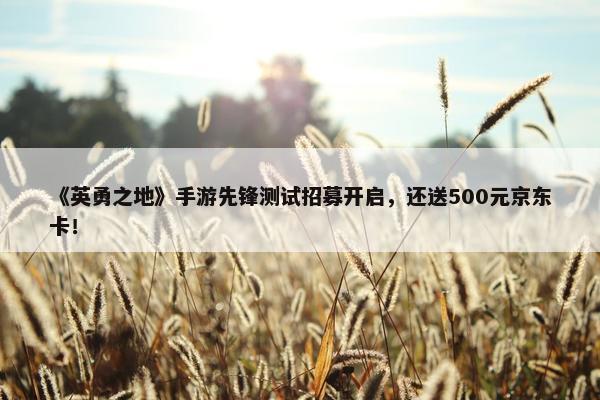 《英勇之地》手游先锋测试招募开启，还送500元京东卡！